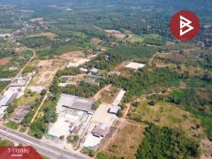 ขายที่ดิน เนื้อที่ 20 ไร่ 84 ตร.วา วังทอง พิษณุโลก-202505041456581746345418442.jpg