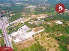 ขายที่ดิน เนื้อที่ 20 ไร่ 84 ตร.วา วังทอง พิษณุโลก-202505041456591746345419754.jpg
