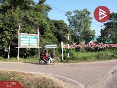 ขายที่ดิน เนื้อที่ 20 ไร่ 84 ตร.วา วังทอง พิษณุโลก-202505041457021746345422375.jpg