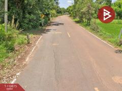 ขายที่ดิน เนื้อที่ 13 ไร่ 20 ตร.วา เพ็ญ อุดรธานี-202505041649381746352178087.jpg