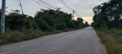 พฤษภาแห่งการซื้อทรัพย์น่าลงทุน ขายที่สวยติดทางหลวง1107 บ้านตาก จ.ตาก คมนาคมสะดวก ไร่ละ 300000 ต.ตากตก อ.บ้านตาก  จ.ตาก  0837124115