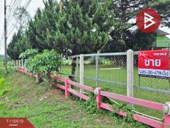 ขายโรงแรมพร้อมที่ดิน เนื้อที่ 29 ไร่ 3 งาน 84 ตร.วา เสิงสาง นครราชสีมา
