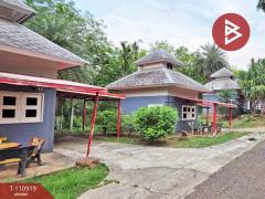 ขายโรงแรมพร้อมที่ดิน เนื้อที่ 29 ไร่ 3 งาน 84 ตร.วา เสิงสาง นครราชสีมา-202505050925111746411911204.jpg