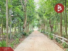 ขายโรงแรมพร้อมที่ดิน เนื้อที่ 29 ไร่ 3 งาน 84 ตร.วา เสิงสาง นครราชสีมา-202505050925191746411919516.jpg