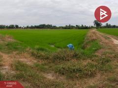 ขายที่ดิน เนื้อที่ 11 ไร่ 33 ตร.วา โพธิ์ประทับช้าง พิจิตร