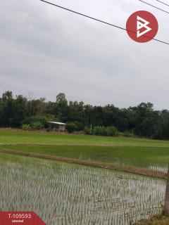 ขายที่ดิน เนื้อที่ 11 ไร่ 33 ตร.วา โพธิ์ประทับช้าง พิจิตร-202505051132161746419536776.jpg