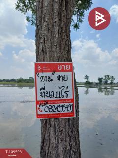 ขายที่ดิน เนื้อที่ 11 ไร่ 33 ตร.วา โพธิ์ประทับช้าง พิจิตร-202505051132301746419550254.jpg