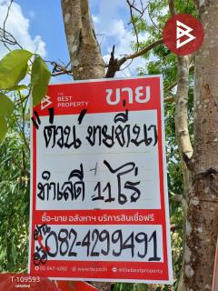 ขายที่ดิน เนื้อที่ 11 ไร่ 33 ตร.วา โพธิ์ประทับช้าง พิจิตร-202505051132401746419560255.jpg