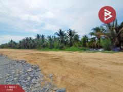 ขายบ้านเดี่ยว หมู่บ้านเพฟ บางนา (Pave Bangna) สมุทรปราการ-202505051205321746421532932.jpg