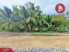 ขายบ้านเดี่ยว หมู่บ้านเพฟ บางนา (Pave Bangna) สมุทรปราการ-202505051205361746421536376.jpg