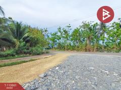 ขายบ้านเดี่ยว หมู่บ้านเพฟ บางนา (Pave Bangna) สมุทรปราการ-202505051205371746421537038.jpg