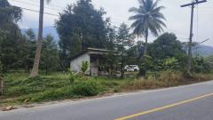 ขายด่วนที่ดิน ติดถนนดำ วิวเขา นครศรีธรรมราช-202505051210591746421859023.jpg