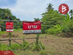 ขายที่ดิน เนื้อที่ 3 งาน 48.6 ตร.วา แหลมสิงห์ จันทบุรี-202505051234081746423248812.jpg