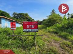ขายที่ดิน เนื้อที่ 3 งาน 48.6 ตร.วา แหลมสิงห์ จันทบุรี-202505051234091746423249454.jpg