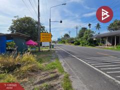 ขายที่ดิน เนื้อที่ 3 งาน 48.6 ตร.วา แหลมสิงห์ จันทบุรี-202505051234101746423250095.jpg