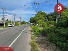 ขายที่ดิน เนื้อที่ 3 งาน 48.6 ตร.วา แหลมสิงห์ จันทบุรี-202505051234101746423250740.jpg