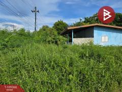 ขายที่ดิน เนื้อที่ 3 งาน 48.6 ตร.วา แหลมสิงห์ จันทบุรี-202505051234121746423252021.jpg