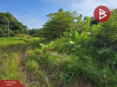 ขายที่ดิน เนื้อที่ 3 งาน 48.6 ตร.วา แหลมสิงห์ จันทบุรี-202505051234131746423253303.jpg