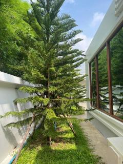 ขายบ้านบิ้วอินพร้อมอยู่เฟอร์นิเจอร์ครบเนื้อที่ 366 ตรว. 3ห้องนอน สายบ้านหลังถ้ำ-บ้านทาม ใกล้นิคม304-9กม. อ.ศรีมหาโพธิ ปราจีนบุรี-202505051432071746430327531.jpg