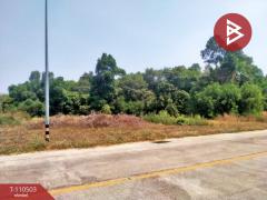 ขายที่ดิน เนื้อที่ 3 ไร่ เมืองอุบลราชธานี ทำเลดี ติดถนน-202505051438451746430725026.jpg