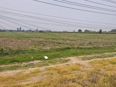 ขาย ที่ดิน ME372 แปลงใหญ่ ทำเลดี ติดถนน 331 หนองอิรุณ บ้านบึง ชลบุรี . 179 ไร่ 39 ตรว ใกล้นิคมโรจนะหนองใหญ่ ท่าเรือแหลมฉบัง เพียง 50 Km.-202505051628561746437336121.jpg