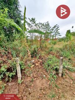 ขายที่ดิน เนื้อที่ 3 งาน 62 ตร.วา ธาตุเชิงชุม สกลนคร-202505060948081746499688858.jpg