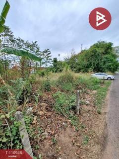 ขายที่ดิน เนื้อที่ 3 งาน 62 ตร.วา ธาตุเชิงชุม สกลนคร-202505060948091746499689499.jpg