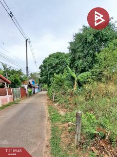 ขายที่ดิน เนื้อที่ 3 งาน 62 ตร.วา ธาตุเชิงชุม สกลนคร-202505060948111746499691426.jpg