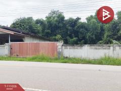 ขายที่ดินพร้อมสิ่งปลูกสร้าง เนื้อที่ 2 ไร่ 2 ตร.วา เทิง เชียงราย-202505061227471746509267597.jpg