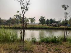 ขายถูกมาก!! ที่ดินถมแล้ว ขนาด 213 ตร.ว. ทำเลทอง อ.เมือง จ.สุโขทัย ใกล้บิ๊กซีเพียง 5 นาที จะซื้อสดหรือผ่อนก็ได้-202505061933571746534837729.jpg