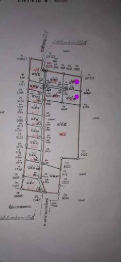 ขายถูกมาก!! ที่ดินถมแล้ว ขนาด 213 ตร.ว. ทำเลทอง อ.เมือง จ.สุโขทัย ใกล้บิ๊กซีเพียง 5 นาที จะซื้อสดหรือผ่อนก็ได้-202505061934031746534843743.jpg
