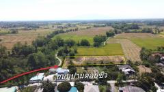  ที่นา  2-1-17 ไร่ วิวภูเขา น้ำประปาไฟฟ้าพร้อม-202505062057551746539875143.jpg