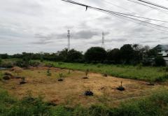 ขายที่ดิน ไทรน้อย ติดถนนบ้านกล้วย-ไทรน้อย เนื้อที่ 9 ไร่ ทำเลดี ติดถนน-202505070851241746582684503.jpg