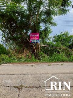 ขายที่ดิน 14 ไร่  ติดถนน  หนองหมู  วิหารแดง สระบุรี ใกล้วัดหนองหมู เทศบาลหนองหมู 3.5 เเสน/ไร่-202505070950461746586246420.jpg