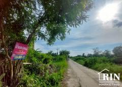 ขายที่ดิน 14 ไร่  ติดถนน  หนองหมู  วิหารแดง สระบุรี ใกล้วัดหนองหมู เทศบาลหนองหมู 3.5 เเสน/ไร่-202505070950481746586248170.jpg