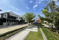 ขายบ้านแฝด หมู่บ้านรัชชาโกลด์ พระราม 5 เนื้อที่ 36.8 ตร.ว. บ้านสวย พร้อมอยู่-202505071013241746587604563.jpg
