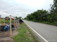 ขาย ที่ดิน 2 ไร่ คลอง 14 หนองเสือ ปทุมธานี ใกล้ถนนเลียบคลอง 14  เจ้าของขายเอง-202505071040551746589255531.jpg