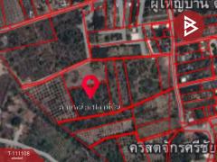 ขายที่ดิน เนื้อที่ 4 ไร่ 23 ตร.วา ดอยหล่อ เชียงใหม่-202505071233331746596013587.jpg