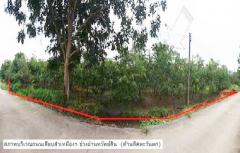 ขายที่ดินว่างเปล่ามือสอง    บ้านเหล่ายาวเหนือ ลำพูน