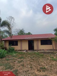 ขายบ้านเดี่ยวพร้อมที่ดิน เนื้อที่ 2 ไร่ 1 งาน ลับแล อุตรดิตถ์-202505071704291746612269540.jpg