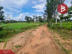 ขายที่ดิน เนื้อที่ 7 ไร่ 2 งาน 14 ตร.วา นาเชือก มหาสารคาม-202505071740391746614439736.jpg