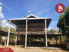 ขายที่ดิน เนื้อที่ 1 ไร่ 1 งาน 71 ตร.วา สันป่าตอง เชียงใหม่-202505080932461746671566257.jpg