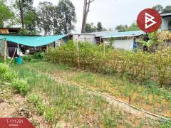 ขายห้องแถวชั้นเดียว เนื้อที่ 21.8 ตร.วา หัวตะพาน อำนาจเจริญ-202505080936131746671773423.jpg