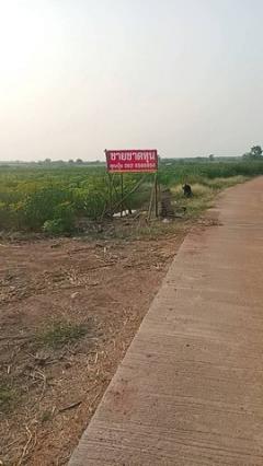 ขายที่ดิน 21 ไร่ วิวภูเขา ติดทางสาธารณะ 2 ด้าน ถมแล้ว ใกล้แม่น้ำกรอง ต.กลอนโด ด่านมะขามเตี้ย กาญจนบุรี