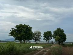 ที่ดินพร้อมสิ่งปลูกสร้างติดอ่างเก็บน้ำห้วยส้ม อำเภอเมือง จังหวัดลพบุรี เนื้อที่ 7 ไร่-202505081133591746678839623.jpg