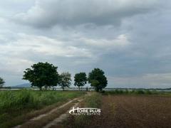 ที่ดินพร้อมสิ่งปลูกสร้างติดอ่างเก็บน้ำห้วยส้ม อำเภอเมือง จังหวัดลพบุรี เนื้อที่ 7 ไร่-202505081134001746678840966.jpg