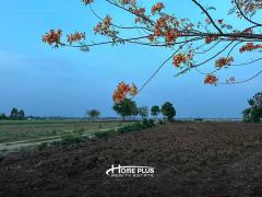 ที่ดินพร้อมสิ่งปลูกสร้างติดอ่างเก็บน้ำห้วยส้ม อำเภอเมือง จังหวัดลพบุรี เนื้อที่ 7 ไร่-202505081134021746678842693.jpg