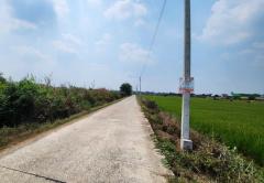 ขายที่ดิน บางไทร อยุธยา ใกล้คลองพระยาบันลือ เนื้อที่ 2 ไร่ ราคาถูก-202505081327211746685641815.jpg