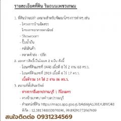 ด่วน! ที่ดินแปลงสวย 14 ไร่ ติดถนนใหญ่เพชรเกษม 12 เลน หน้ากว้าง 74 เมตร ใกล้สี่แยกปราณบุรี - โอกาสทองนักลงทุน! -202505081637321746697052994.jpg