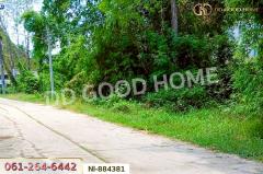 NI-884381 ที่ดินกวนวัน 251.5 ตร.ว. หนองคาย ใกล้วัดพระไชยเชษฐา-202505081705391746698739096.jpg